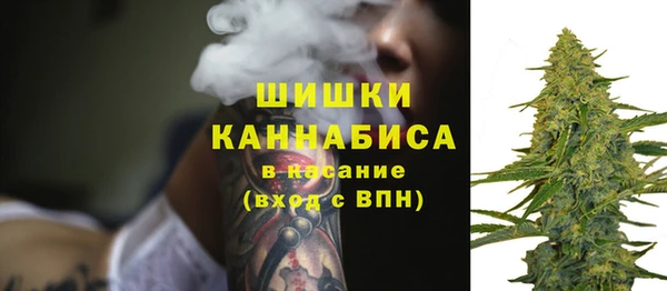 прущие крисы Белокуриха