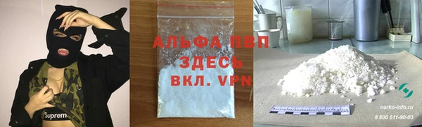 прущие крисы Белокуриха