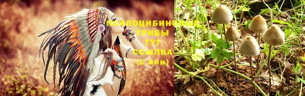 стафф Белоозёрский