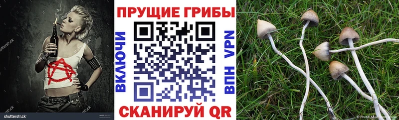 Галлюциногенные грибы MAGIC MUSHROOMS  Купить где  Адыгейск 